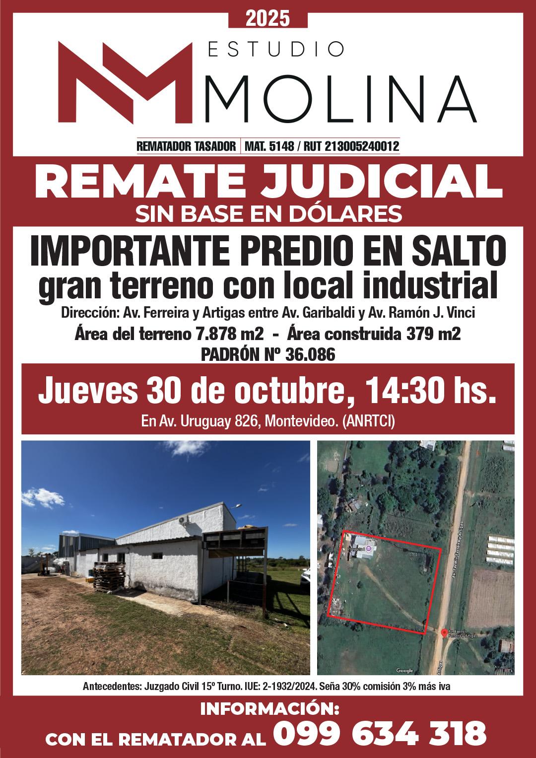 Estudio Molina - Remate